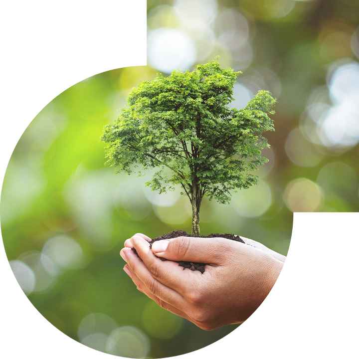 关怀人类、文化、环境与社会